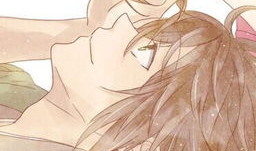 关于爱情的漫画,甜蜜与苦涩交织的浪漫画卷